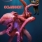 Осьминог!