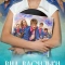 ВИА «Васильки»