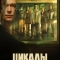 Цикады