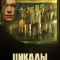 Цикады
